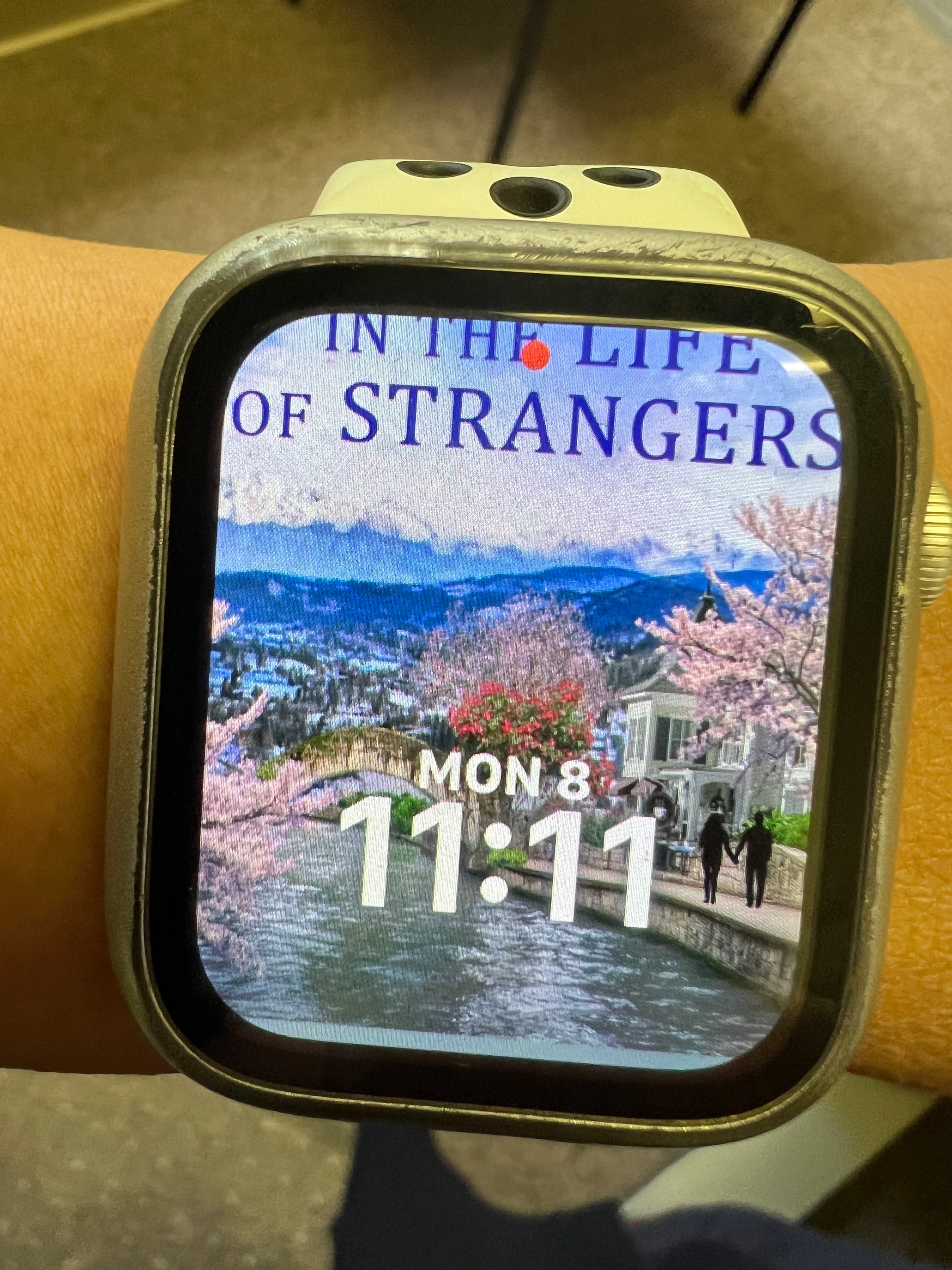 A Day in the Life of Strangers book cover on Apple Watch face